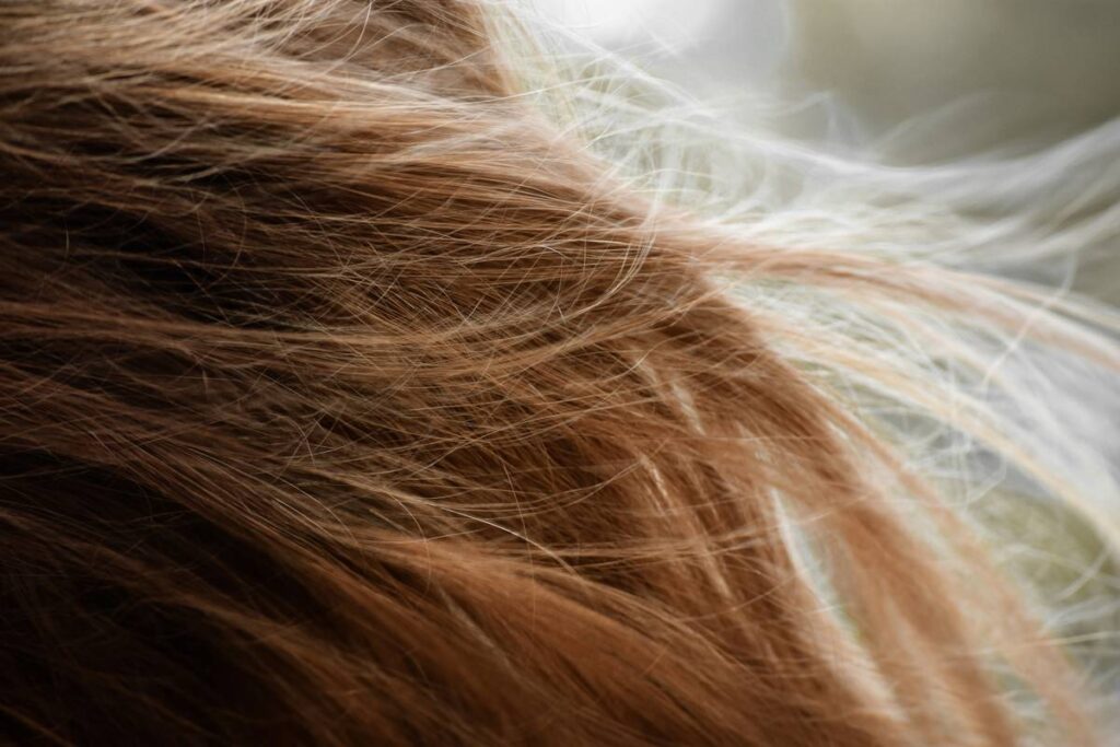 Hair Concealers: The Underrated Secret to Effortless, Polished Style